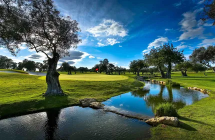 Quinta de cima